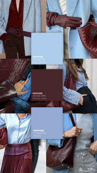 Libellulina - Castagna in Bluè